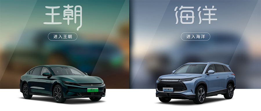 对2022年销冠比亚迪的销量增长思考