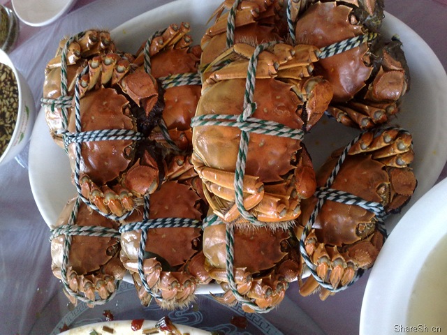 /posts/life/20091026-yangcheng-lake-crab-eating-one-day-tour-introduction/assets/boxcn8f0oBIn8osGL2X27GXsbTd.jpg