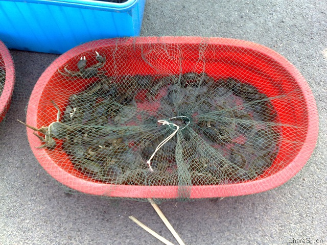 /posts/life/20091026-yangcheng-lake-crab-eating-one-day-tour-introduction/assets/boxcnBZ2l5GB8qLK1BptF9LYwCe.jpg