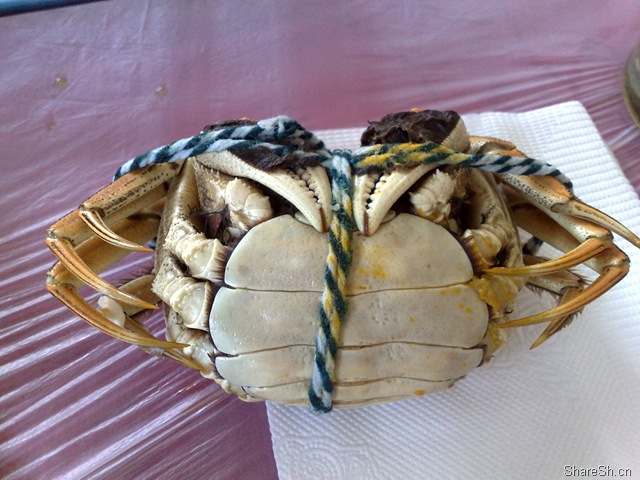 /posts/life/20091026-yangcheng-lake-crab-eating-one-day-tour-introduction/assets/boxcnUadpQ0iecj8N3uD0wHcCqe.jpg